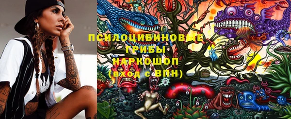 твердый Протвино