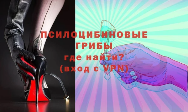 твердый Абаза