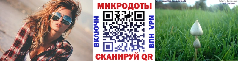 Галлюциногенные грибы Psilocybe даркнет сайт Братск
